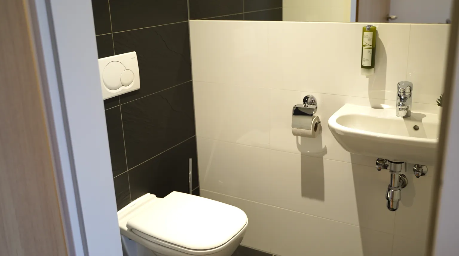 Rooftop Suit - WC