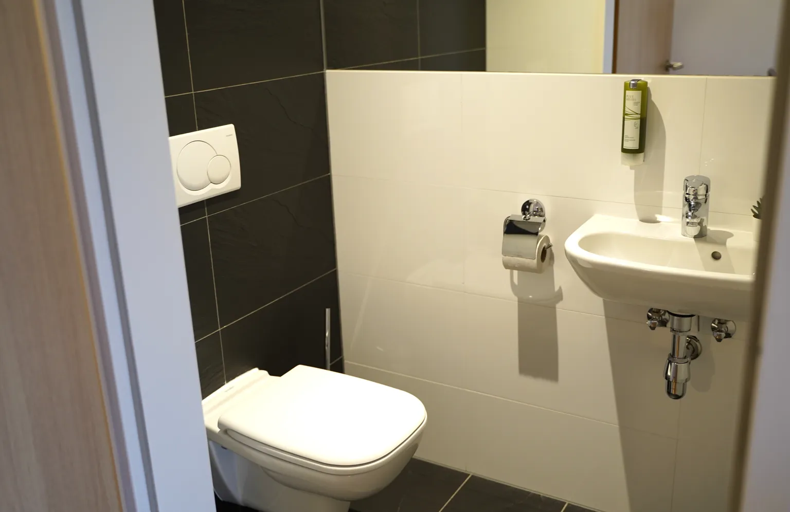 Rooftop Suit - WC